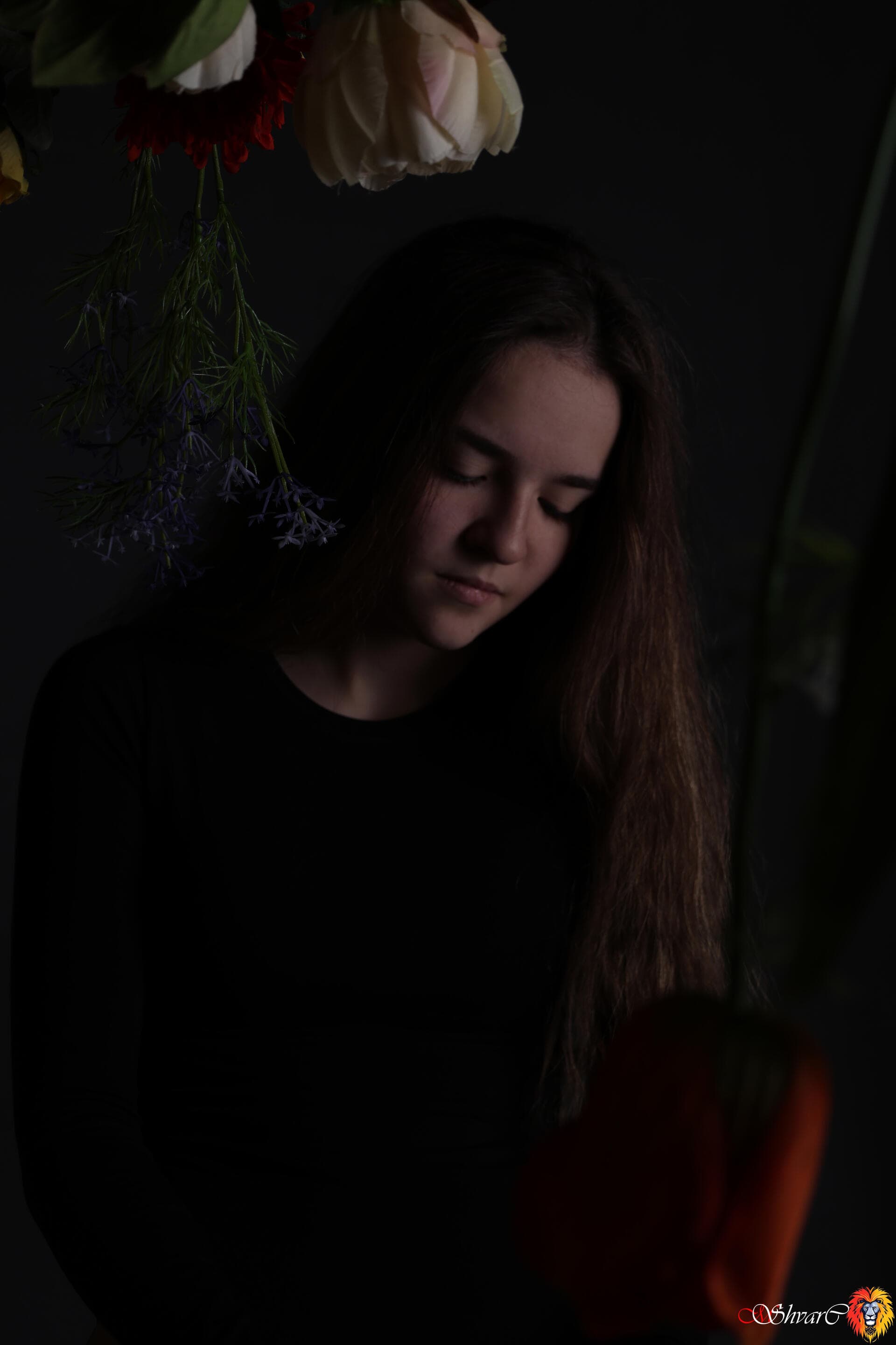 Кадр Shvarc Studio 2