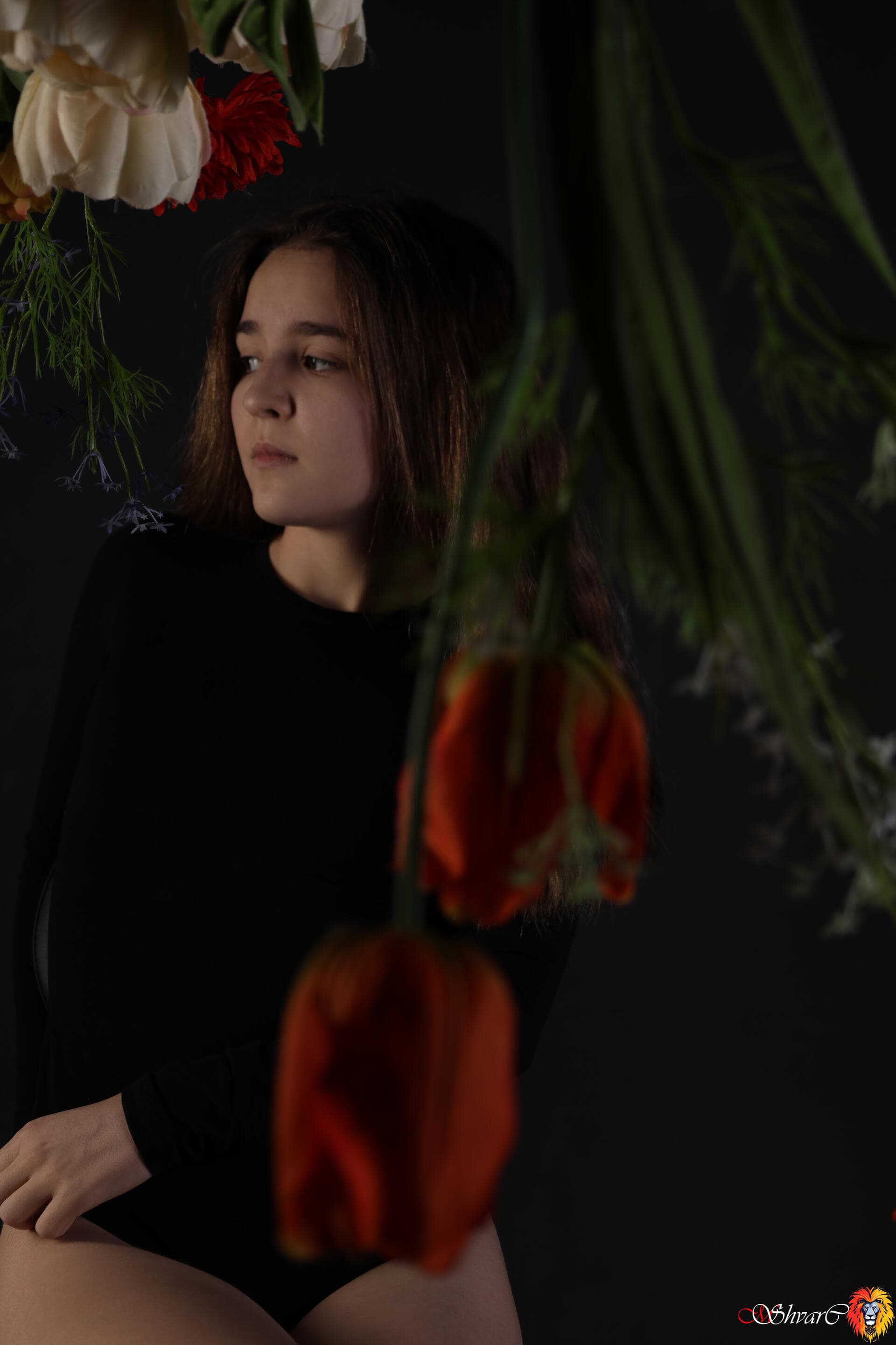 Кадр Shvarc Studio 3