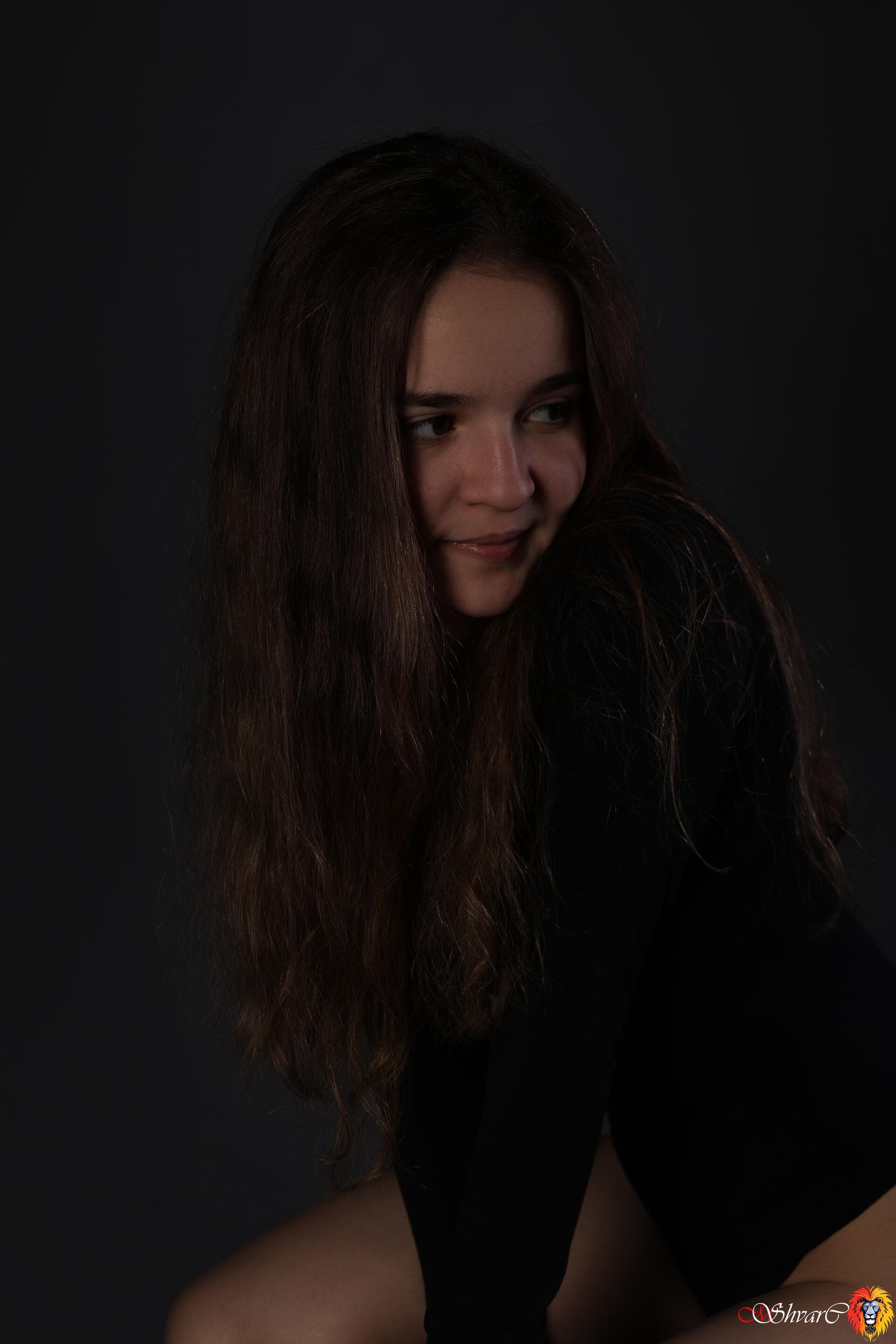 Кадр Shvarc Studio 11